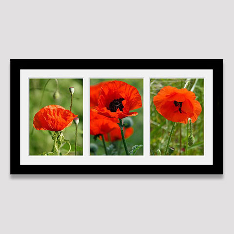 Multi aperture photo frame for 3 photos