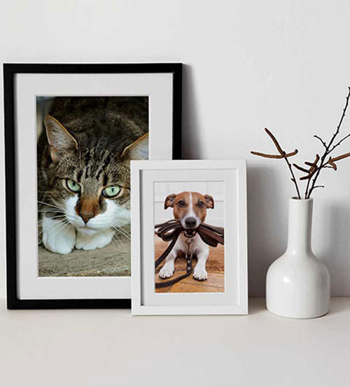 Photos printed and framed online