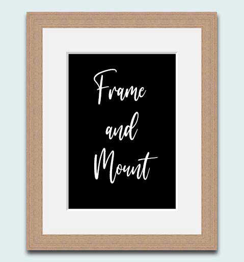 Picture frame with mount