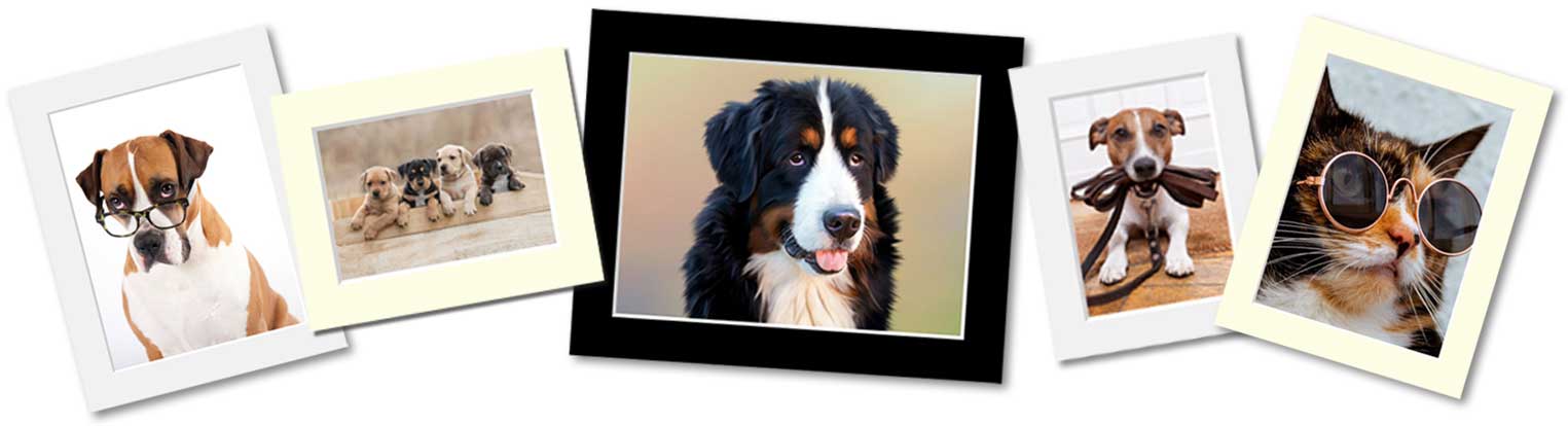 Custom picture mounts made to measure at The Picture Gallery